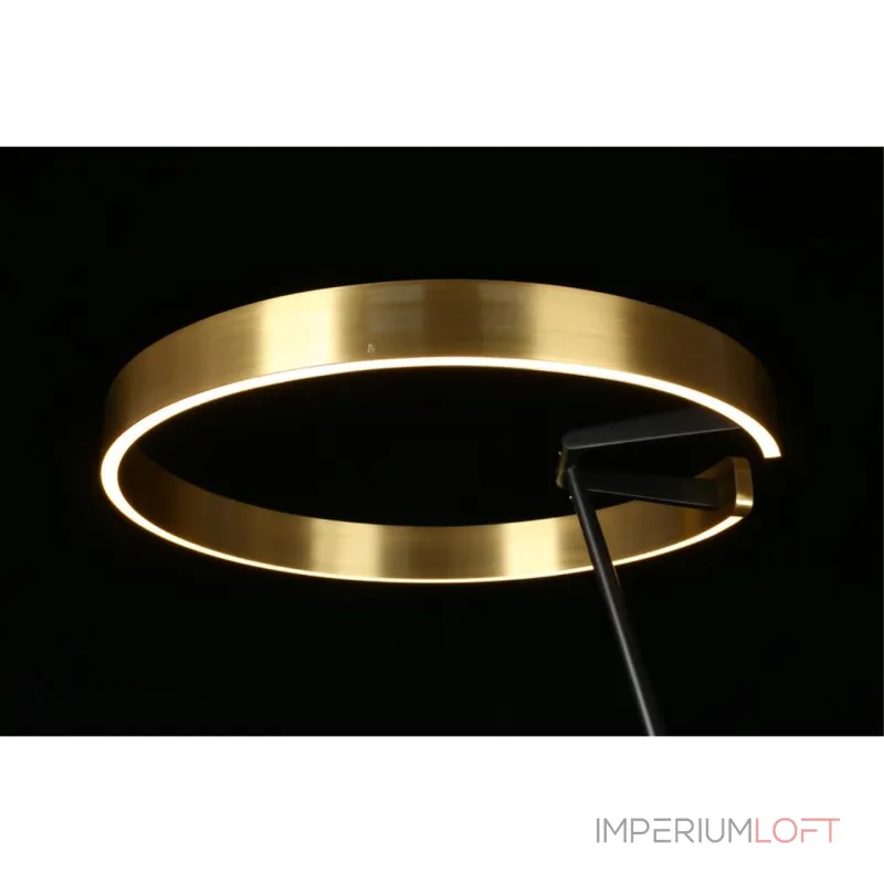 Торшер Aployt Leonn APL.653.05.30 от ImperiumLoft