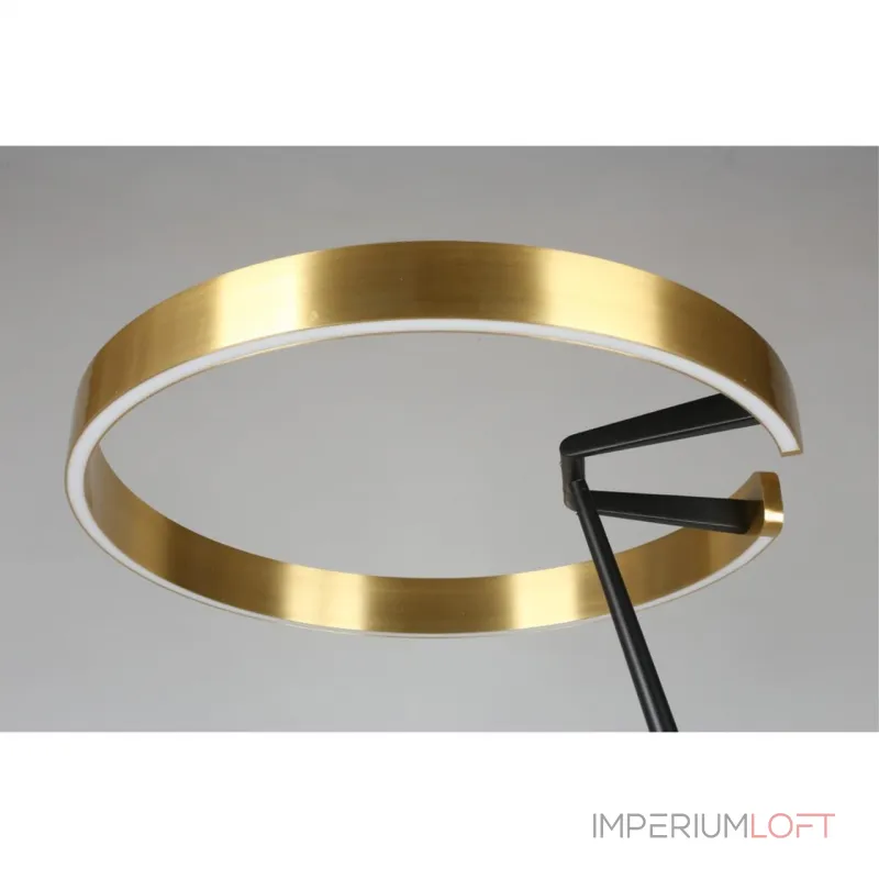 Торшер Aployt Leonn APL.653.05.30 от ImperiumLoft