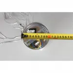 Светильник настенный Aployt Gertunia APL.847.11.03 от ImperiumLoft