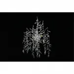 Светильник настенный Aployt Gertunia APL.847.11.03 от ImperiumLoft