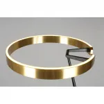 Торшер Aployt Leonn APL.653.05.30 от ImperiumLoft