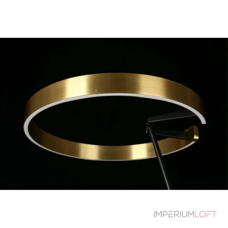 Торшер Aployt Leonn APL.653.05.30 от ImperiumLoft