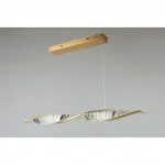 Подвесной светильник Aployt Olimp APL.045.06.20