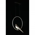 Подвесной светильник Aployt Astor APL.822.16.10