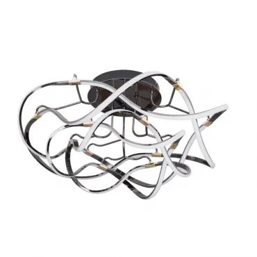 Потолочная люстра Aployt Dzhin APL.062.07.70 Потолочная люстра Aployt Dzhin APL.062.07.70