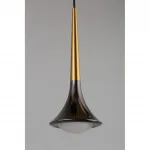 Подвесная люстра Aployt Agas APL.784.06.05