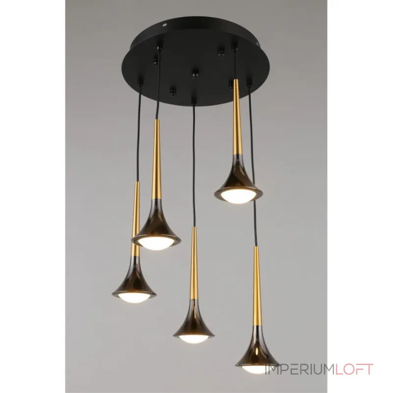 Подвесная люстра Aployt Agas APL.784.06.05