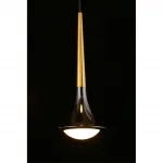 Подвесная люстра Aployt Agas APL.784.06.05