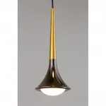 Подвесная люстра Aployt Agas APL.784.06.05