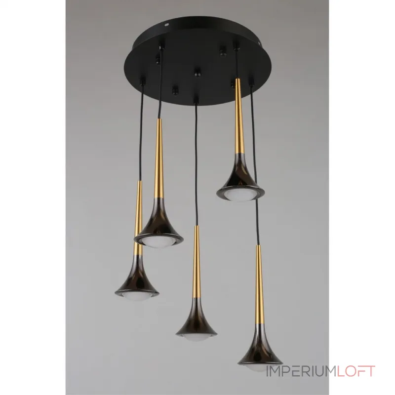 Подвесная люстра Aployt Agas APL.784.06.05