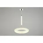 Подвесной светильник Aployt Danuta APL.035.16.25