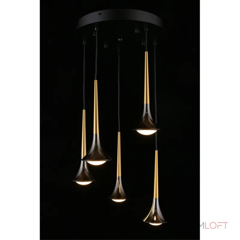 Подвесная люстра Aployt Agas APL.784.06.05