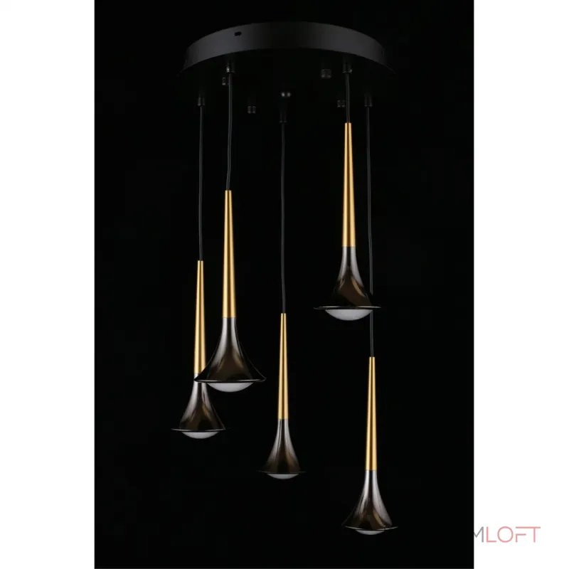 Подвесная люстра Aployt Agas APL.784.06.05