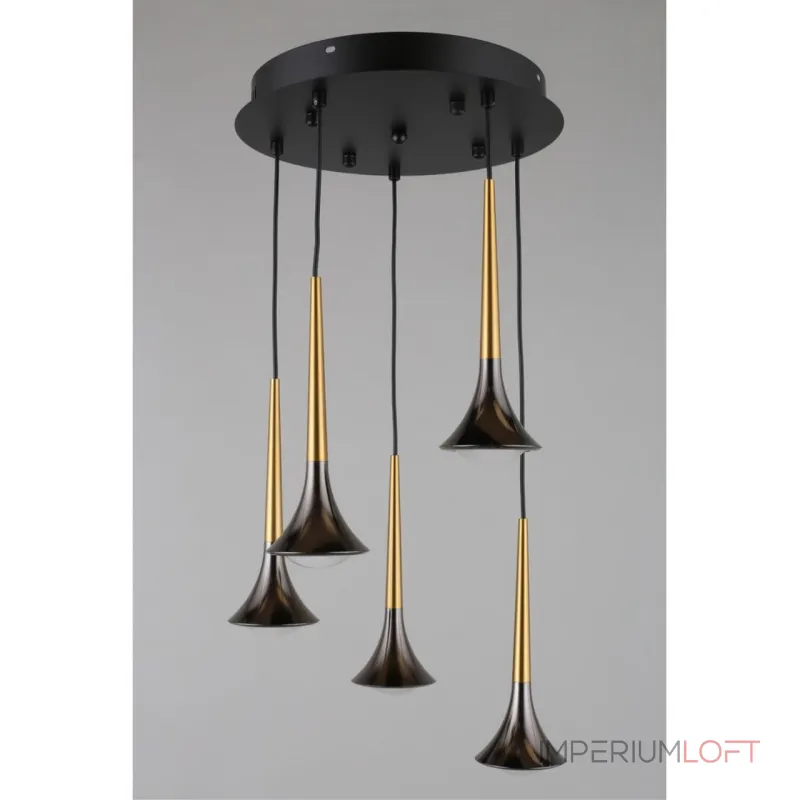 Подвесная люстра Aployt Agas APL.784.06.05