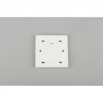 Выключатель двухклавишный Aployt Magnetic track 220 APL.0190.00.02 от ImperiumLoft