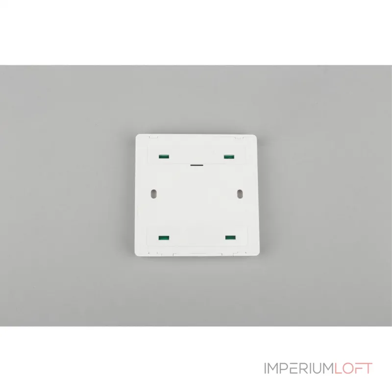 Выключатель двухклавишный Aployt Magnetic track 220 APL.0190.00.02 от ImperiumLoft