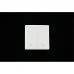 Выключатель двухклавишный Aployt Magnetic track 220 APL.0190.00.02 от ImperiumLoft