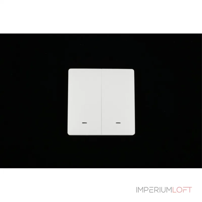 Выключатель двухклавишный Aployt Magnetic track 220 APL.0190.00.02 от ImperiumLoft