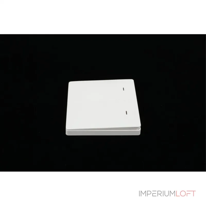 Выключатель двухклавишный Aployt Magnetic track 220 APL.0190.00.02 от ImperiumLoft