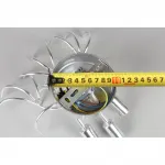 Светильник настенный Aployt Danusia APL.846.01.03 от ImperiumLoft