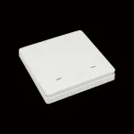 Выключатель двухклавишный Aployt Magnetic track 220 APL.0190.00.02 от ImperiumLoft