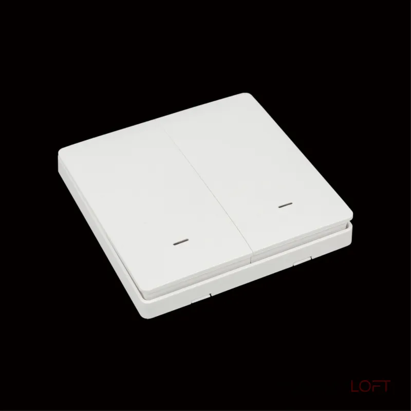 Выключатель двухклавишный Aployt Magnetic track 220 APL.0190.00.02 от ImperiumLoft