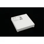 Выключатель двухклавишный Aployt Magnetic track 220 APL.0190.00.02 от ImperiumLoft