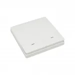 Выключатель двухклавишный Aployt Magnetic track 220 APL.0190.00.02 от ImperiumLoft