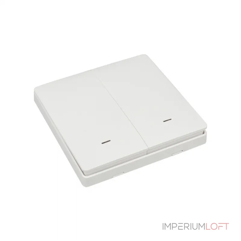 Выключатель двухклавишный Aployt Magnetic track 220 APL.0190.00.02 от ImperiumLoft