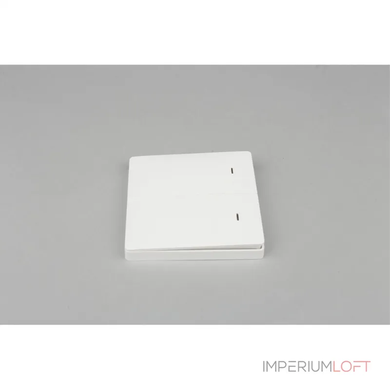 Выключатель двухклавишный Aployt Magnetic track 220 APL.0190.00.02 от ImperiumLoft