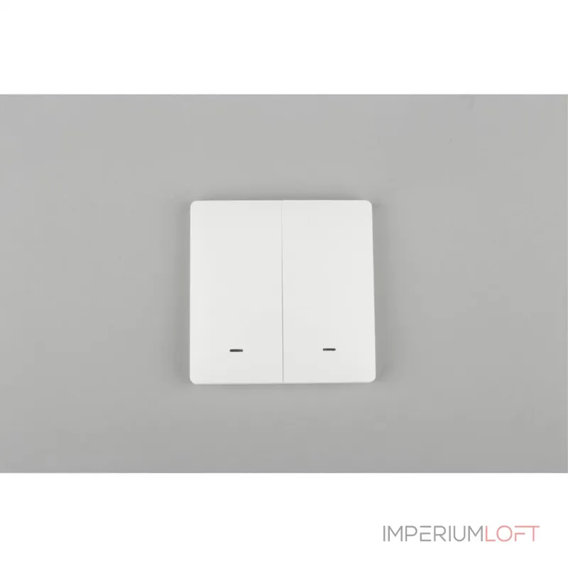 Выключатель двухклавишный Aployt Magnetic track 220 APL.0190.00.02 от ImperiumLoft