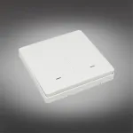 Выключатель двухклавишный Aployt Magnetic track 220 APL.0190.00.02 от ImperiumLoft