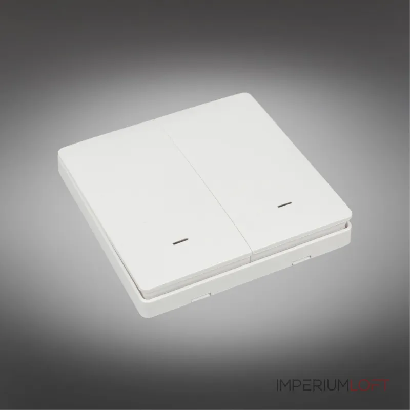 Выключатель двухклавишный Aployt Magnetic track 220 APL.0190.00.02 от ImperiumLoft