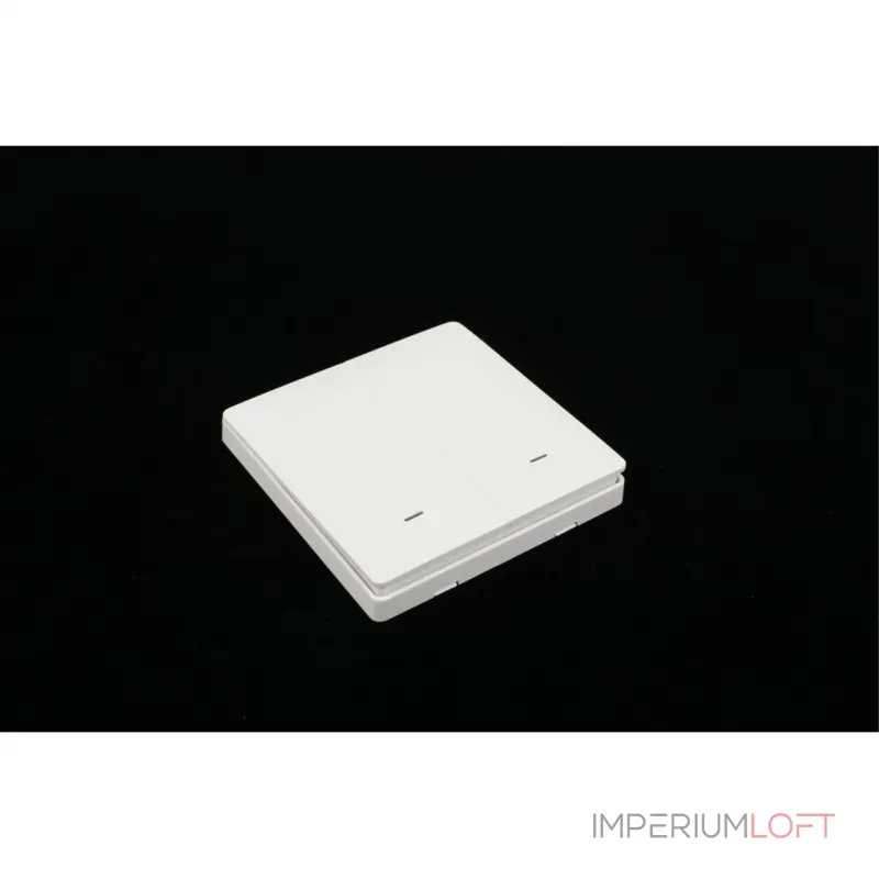 Выключатель двухклавишный Aployt Magnetic track 220 APL.0190.00.02 от ImperiumLoft