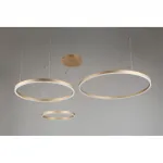 Подвесная люстра Aployt Terenia APL.024.03.136