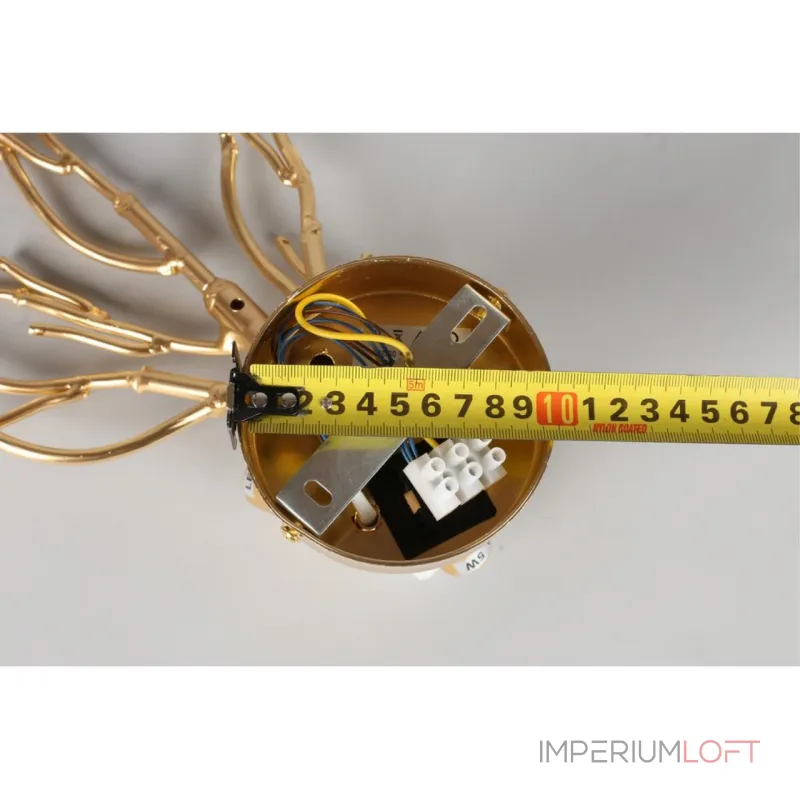 Светильник настенный Aployt Gertunia APL.847.01.03 от ImperiumLoft