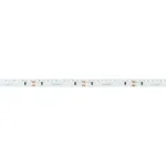 Arlight Лента RS-S120-8mm 24В Warm2700 9.6 В/м IP20 3014 5м боковое свечение 039430 от ImperiumLoft