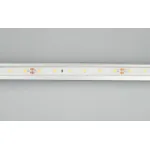 Arlight Лента герметичная RTW-PFS-A60-11mm 24В Red 4.8 В/м IP68 2835 5м 034182 от ImperiumLoft