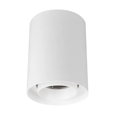 Arlight Светильник SP-FOCUS-R110-18Вт Day4000 WH 50 deg 230В IP54 054866