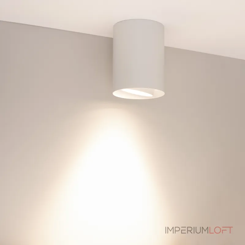 Arlight Светильник SP-FOCUS-R110-18Вт Day4000 WH 50 deg 230В IP54 054866 от ImperiumLoft