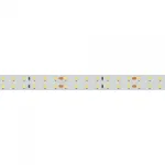 Arlight Лента RT-A196-15mm 24В Cool 8K 20 В/м IP20 2835 5м 20 Вт/м IP20 019088(2) от ImperiumLoft