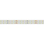 Arlight Лента RT-A196-15mm 24В Cool 8K 20 В/м IP20 2835 5м 20 Вт/м IP20 019088(2) от ImperiumLoft