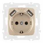 Розетка с заземлением, шторками + 2 USB, 16A 250V, USB DC 5V 2.1A 205.47-1.shampan от ImperiumLoft