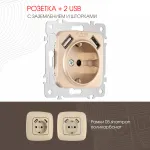 Розетка с заземлением, шторками + 2 USB, 16A 250V, USB DC 5V 2.1A 205.47-1.shampan от ImperiumLoft