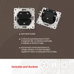 Выключатель двухклавишный, 10AX 250V 202.30-2.shampan от ImperiumLoft