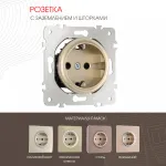 Розетка с заземлением и шторками, 16A 250V 202.40-1.shampan от ImperiumLoft