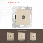 Розетка TV 203.43-1.shampan от ImperiumLoft