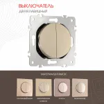 Выключатель двухклавишный, 10AX 250V 202.30-2.shampan от ImperiumLoft