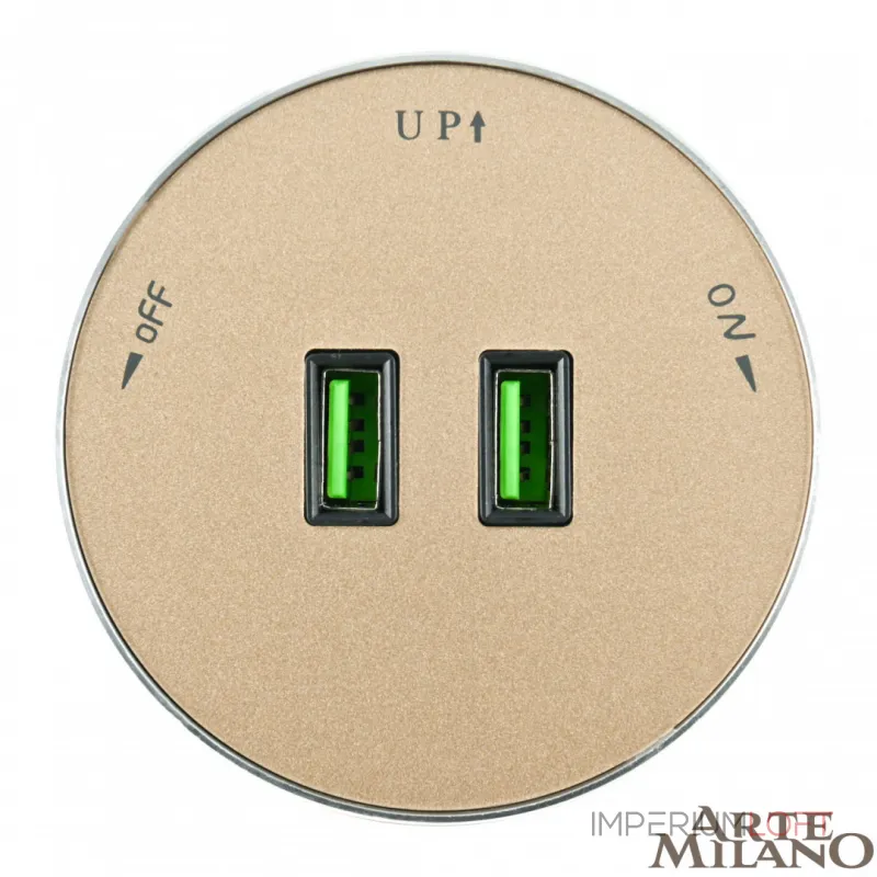 Трековая розетка, 2.1A 250V 380011TS/USBx2 Gold от ImperiumLoft