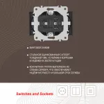 Розетка двойная с заземлением, 16A 250V 203.40-2.silver от ImperiumLoft